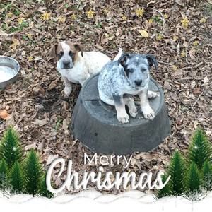 Meet your Posher, Jayne